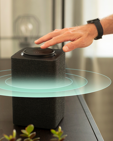 Voice Activated Home Control