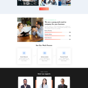 Elementor Startup WordPress Theme