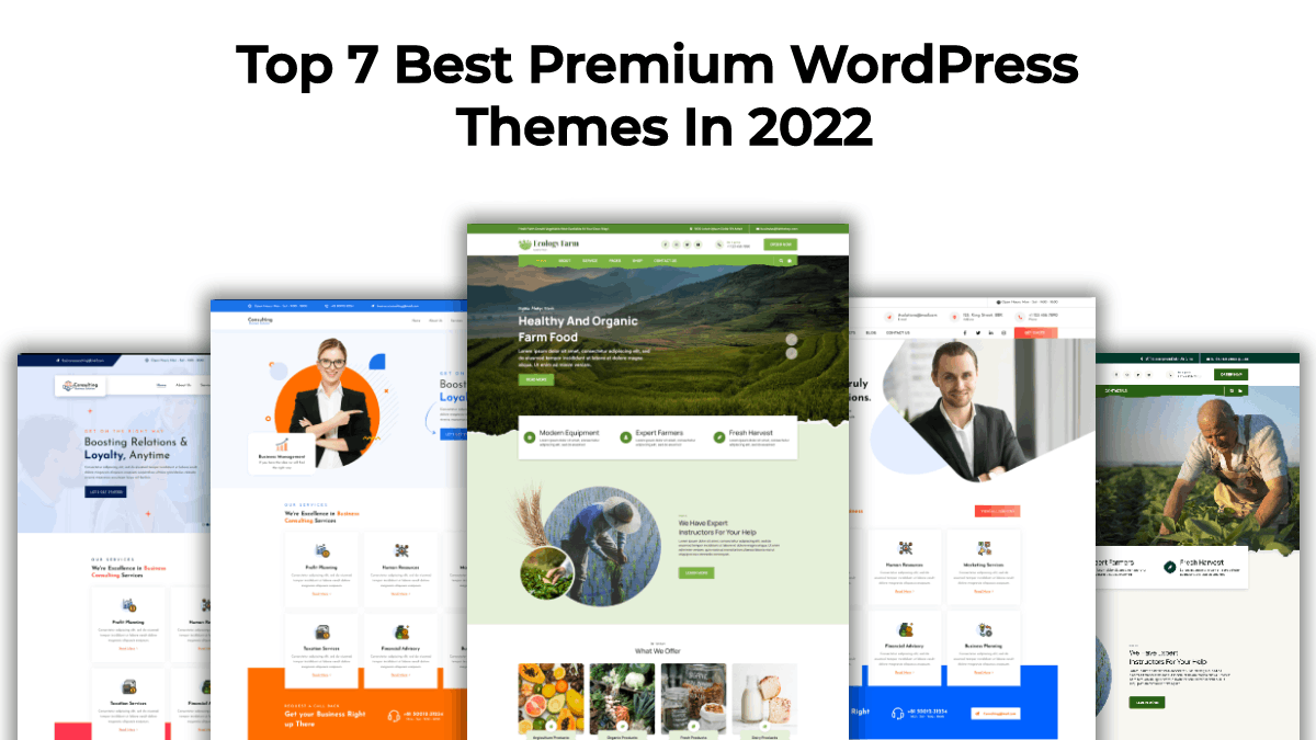 Premium WordPress Themes