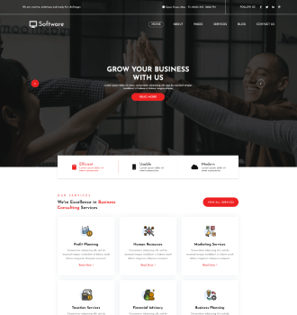 Software WordPress Theme