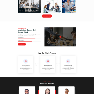 Software WordPress Theme