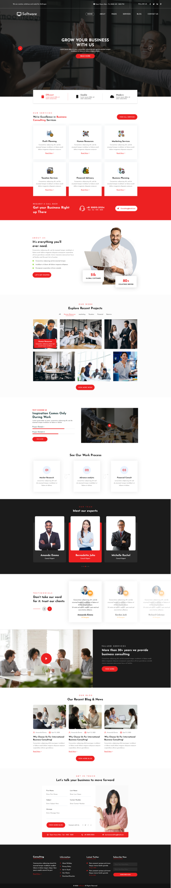 Software WordPress Theme