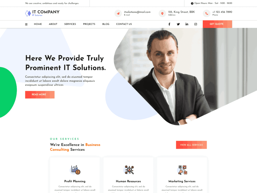 Elementor Startup WordPress Theme​