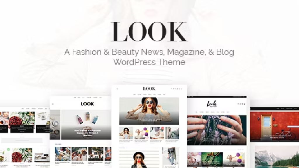 look wordpress theme