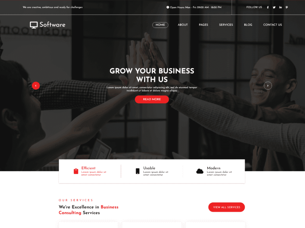 Software WordPress Theme​