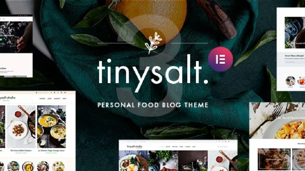 tinysalt wordpress theme