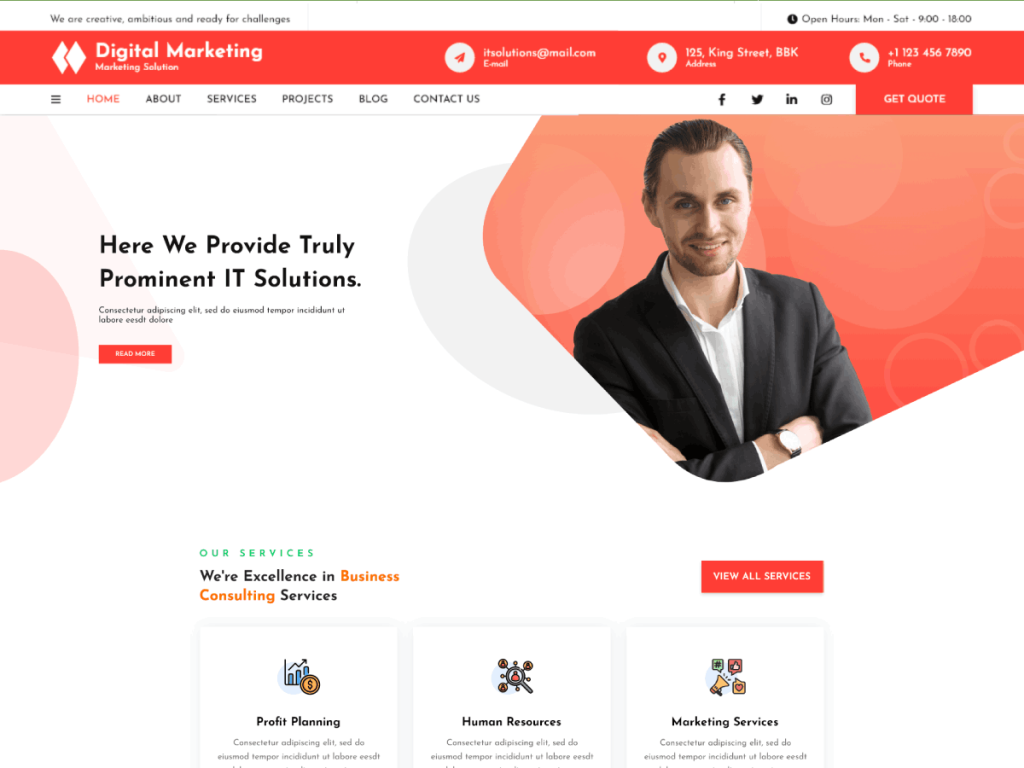 marketing wp theme