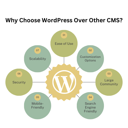 Why Choose WordPress Over Other CMS?