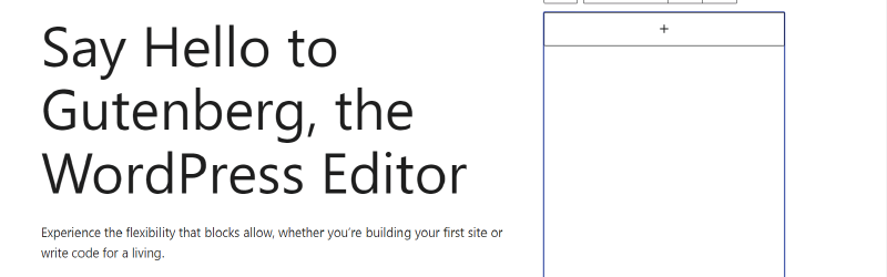 gutenberg editor