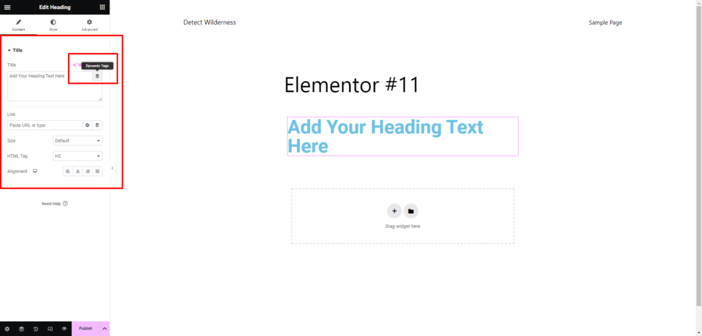 Maximizing Your Website’s Potential With Dynamic Content For Elementor 3 dynamic tags in elementor
