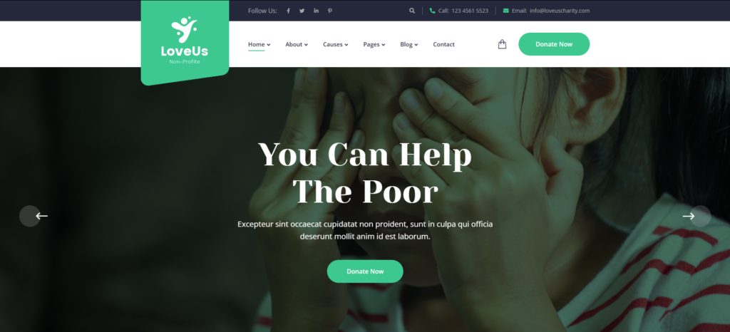 Loveus-non-profit-wordpress-theme