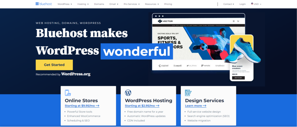 bluehost-hosting-service