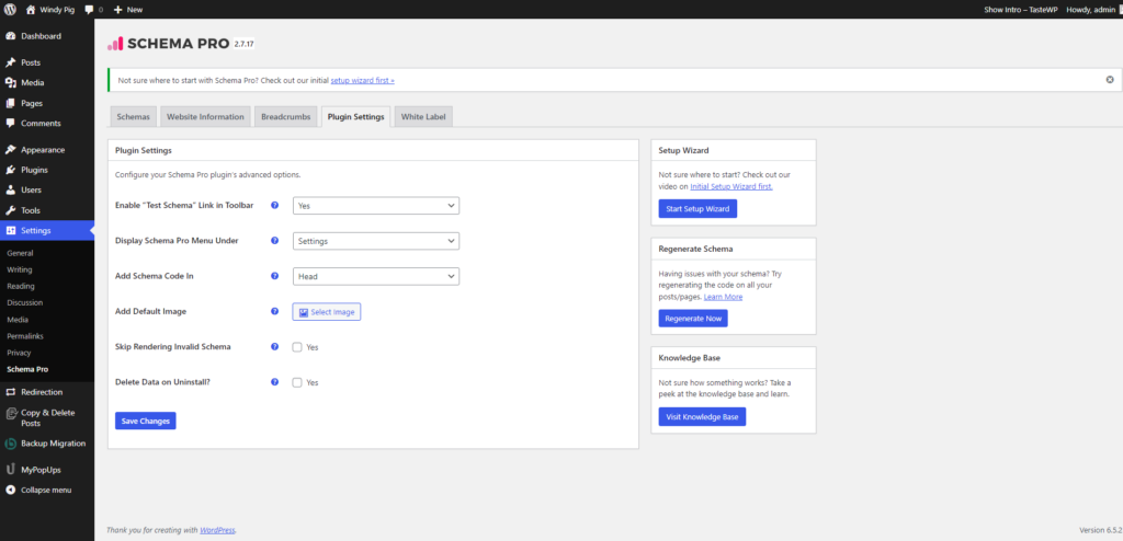 schema pro plugin settings