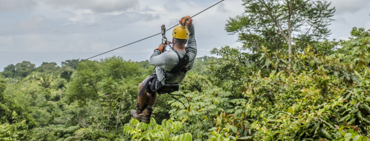 Forest Zipline
